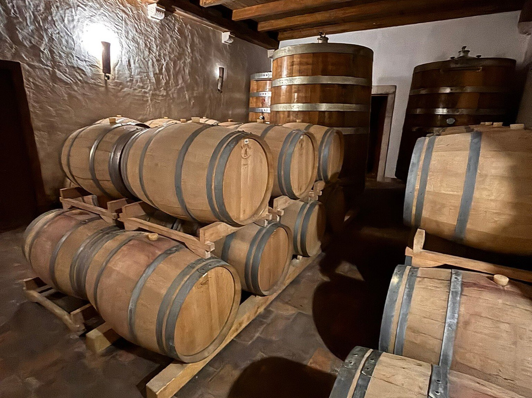 Kabola Winery-Momjan必去景点