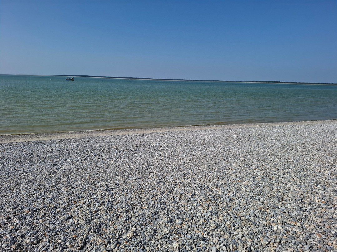 Le Hourdel-Cayeux-sur-Mer必去景点