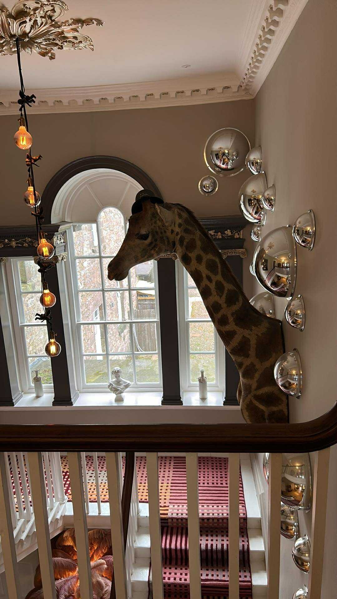 Charlton Hall at Charlton Hall Estate-客卧