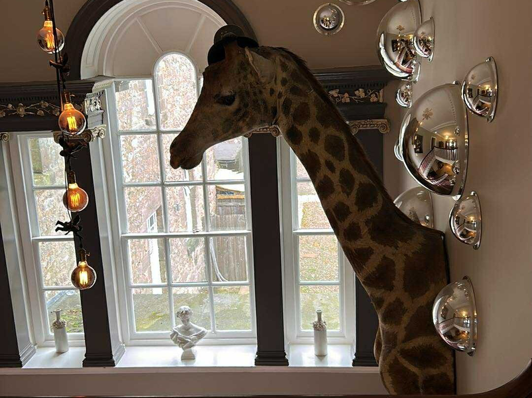 Charlton Hall at Charlton Hall Estate主图