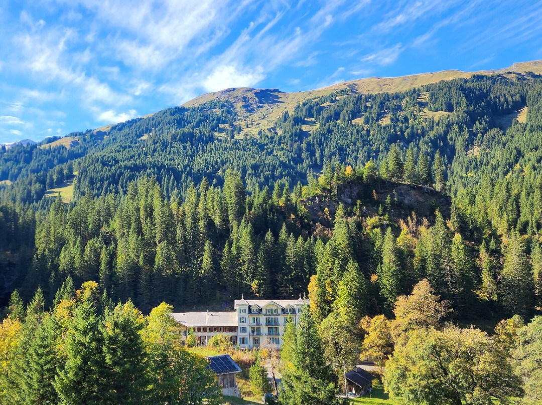 Rosenlaui Hotel主图