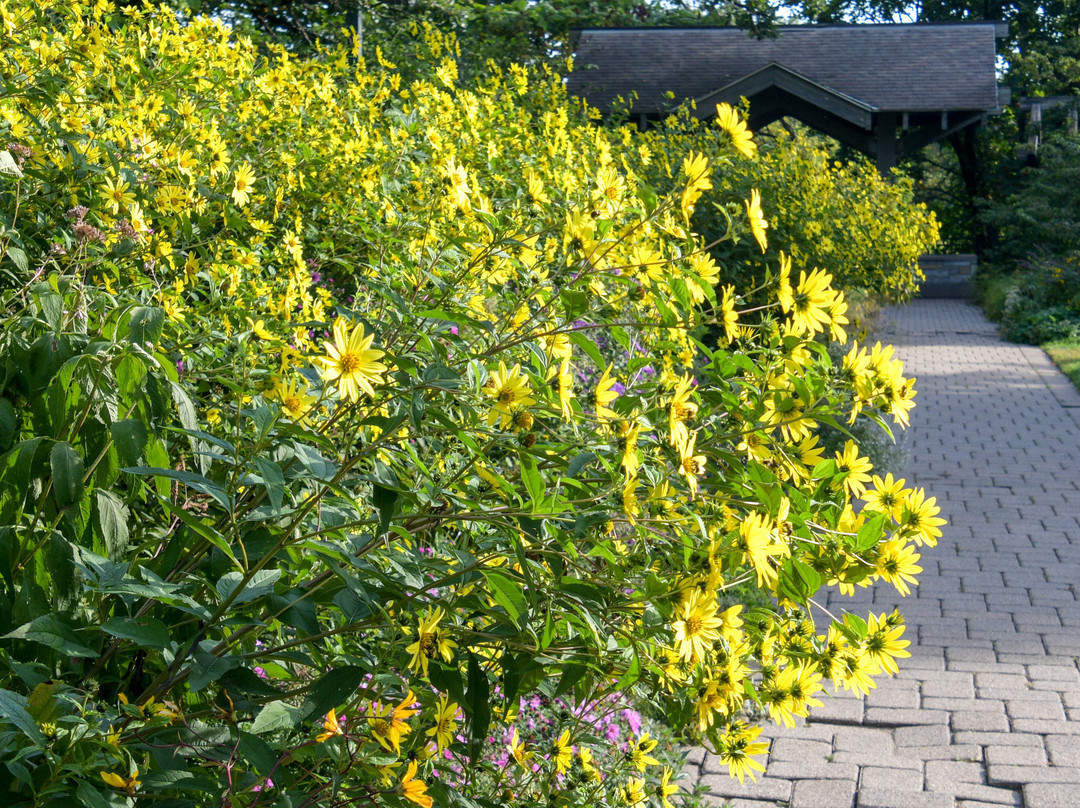 Minnehaha Falls-明尼阿波利斯必去景点