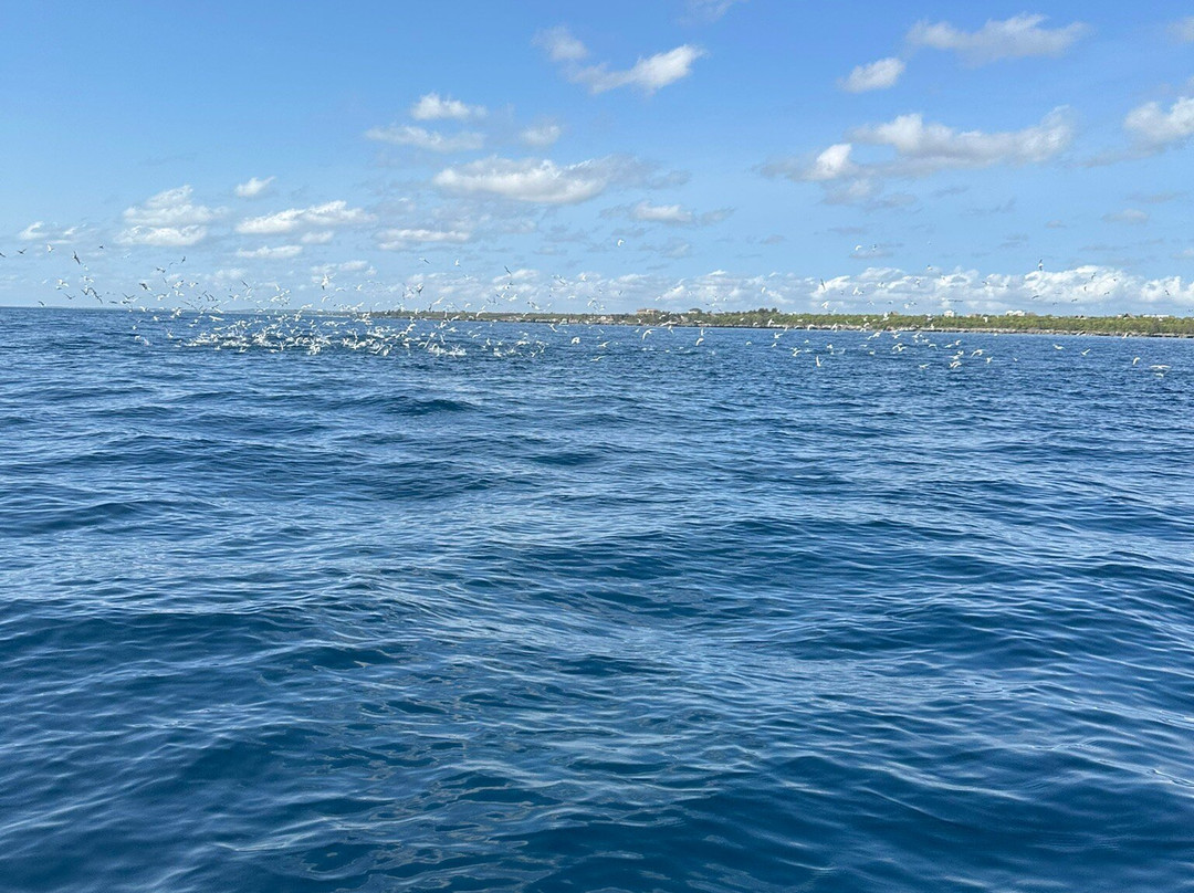 Panamwe Tours & safaris-Pwani Mchangani必去景点