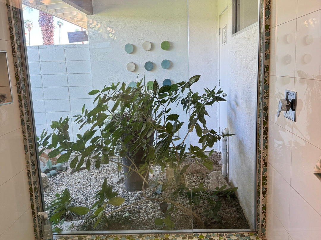 Palm Springs Mod Squad-棕榈泉市必去景点