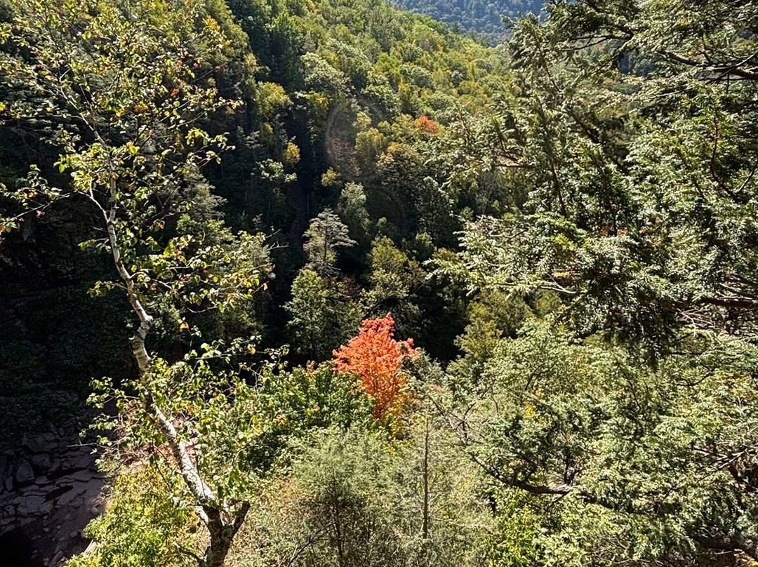 Kaaterskill Falls-Haines Falls必去景点