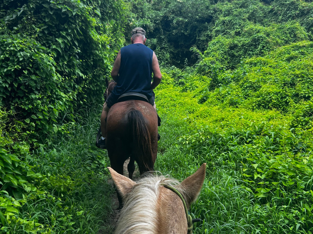 Cruzan Cowgirls-Frederiksted必去景点
