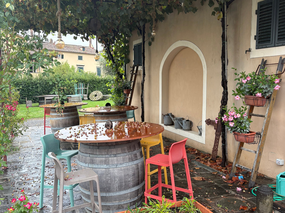 Azienda Agricola La Badiola-Matraia必去景点