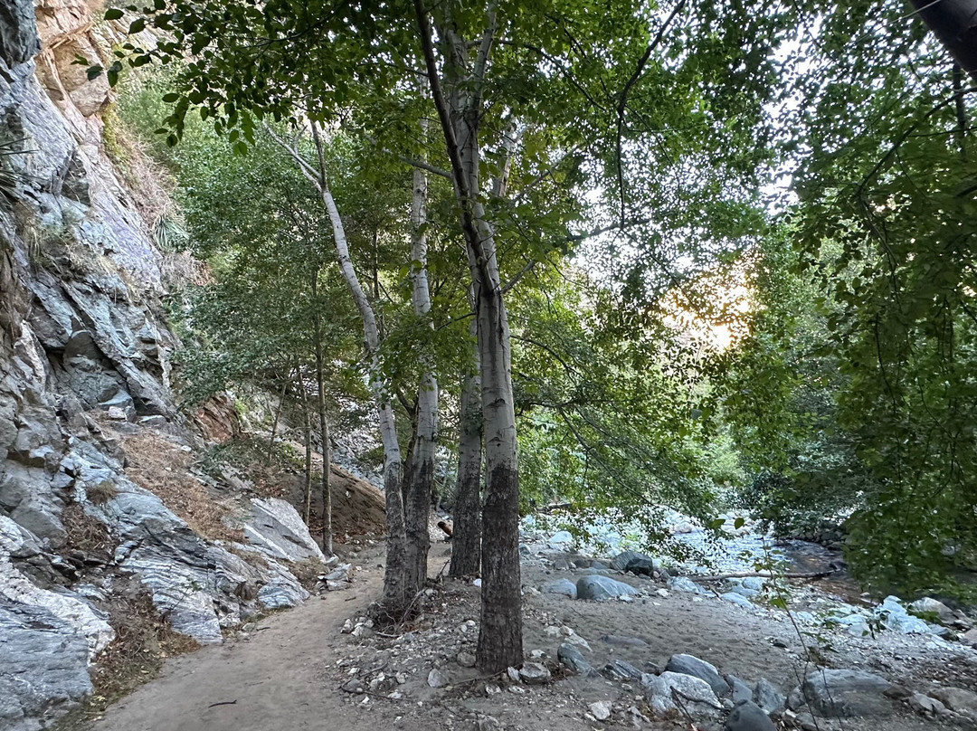 Bungee America-Azusa必去景点