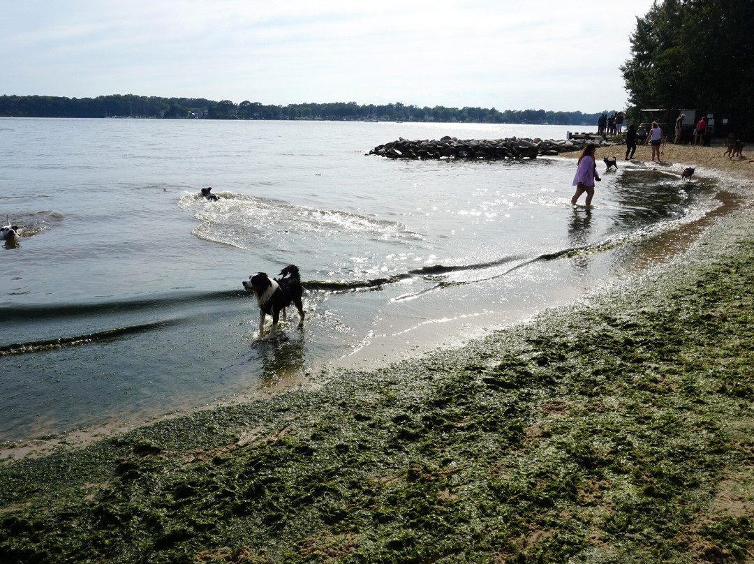 Quiet Waters Park-安纳波利斯必去景点