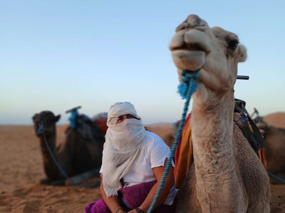 Morocco Tours Organizer-丹吉尔必去景点