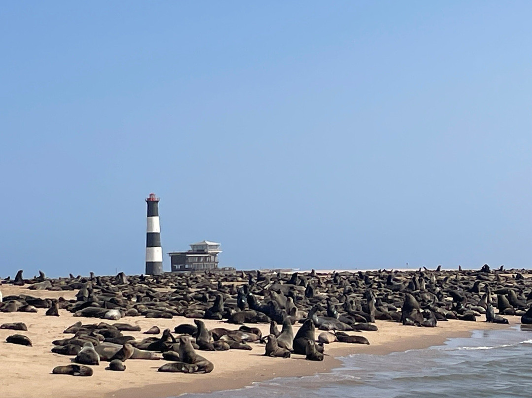 Mola Mola Safaris-华维斯湾必去景点