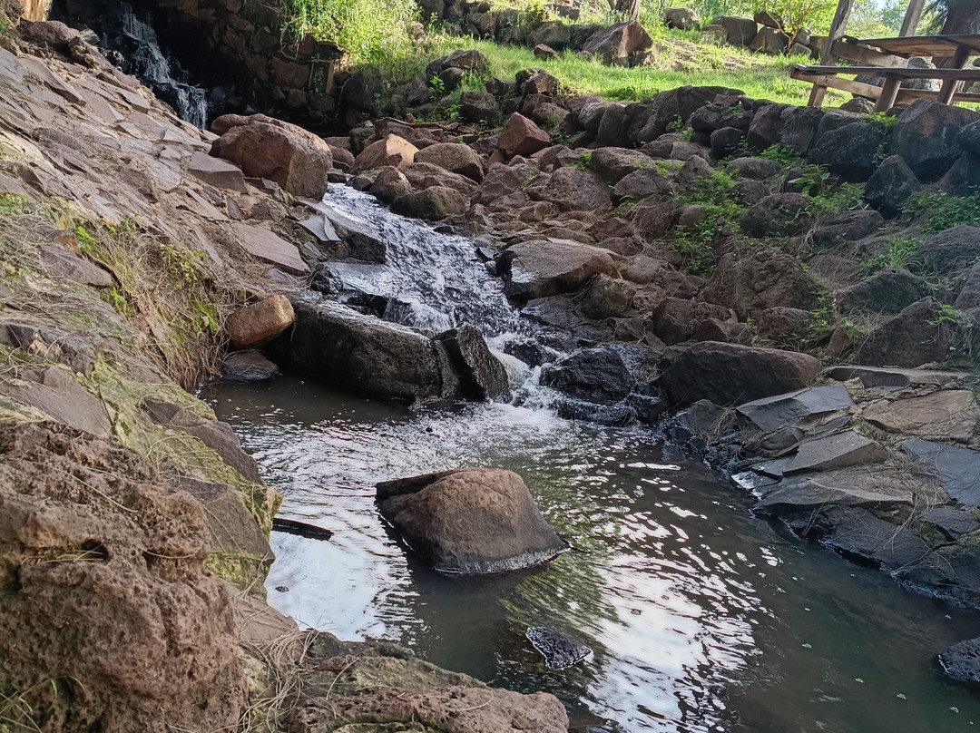Parque Bicentenario Puente de Calderon-Zapotlanejo必去景点