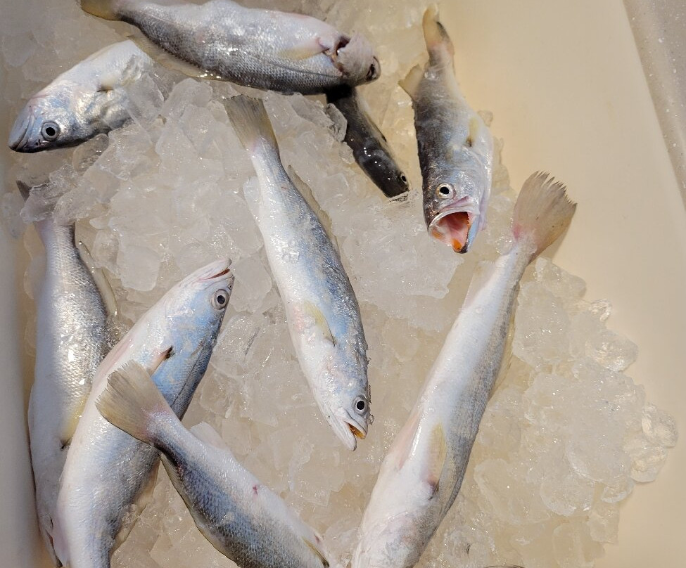 Pirate's Landing Fishing Pier-Port Isabel必去景点