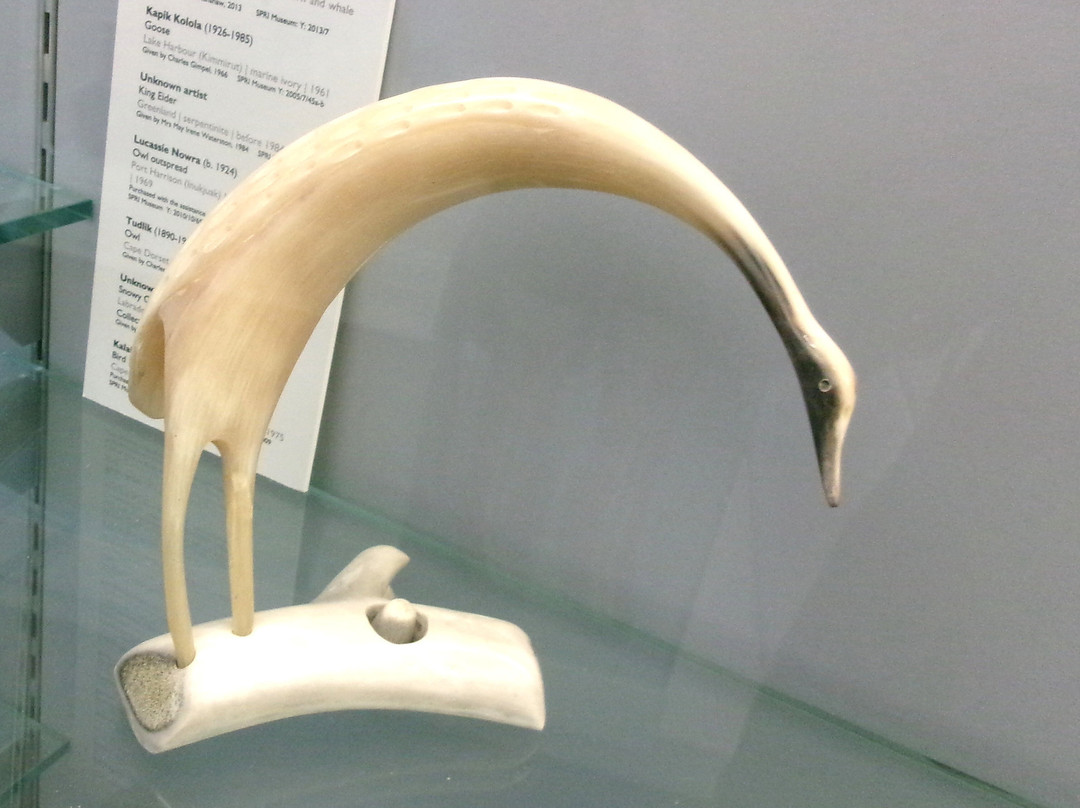 The Polar Museum, Scott Polar Research Institute-剑桥必去景点