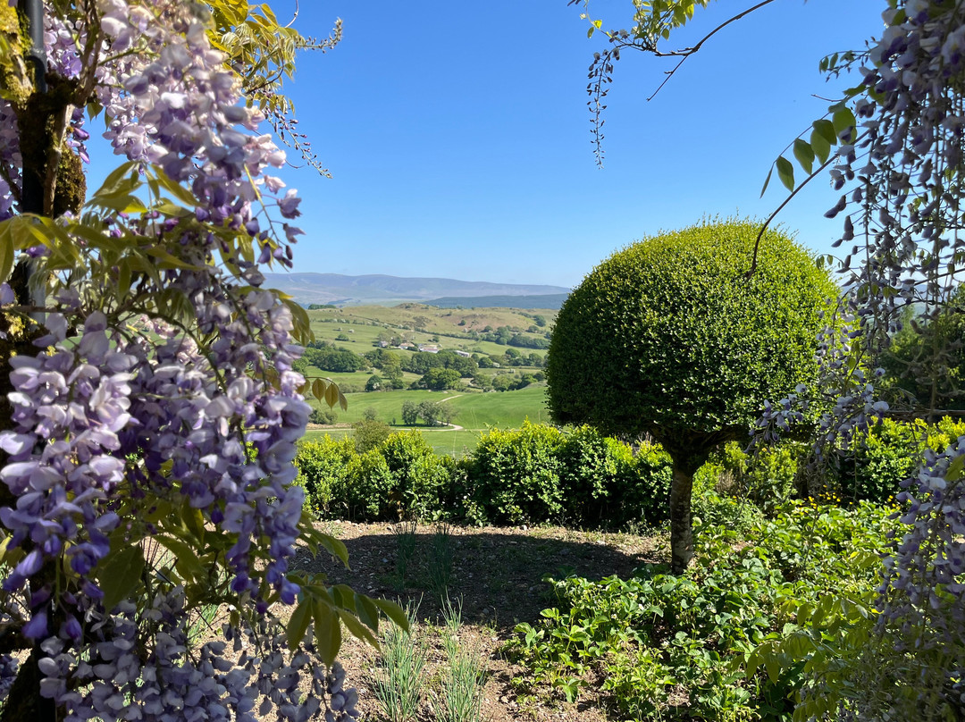 Caerau Gardens-Bala必去景点