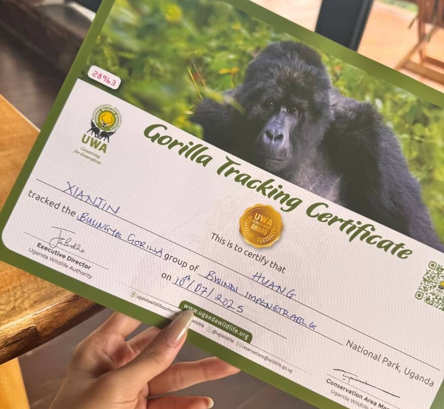 Gorilla specialist-坎帕拉必去景点