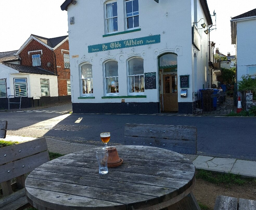 Ye Olde Albion Pub-Rowhedge必去景点