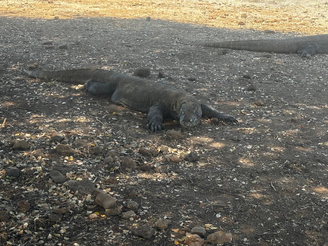 Waturanda Trip-Labuan Bajo必去景点