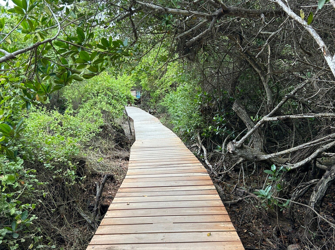 Concha de Perla-维里亚米尔港必去景点