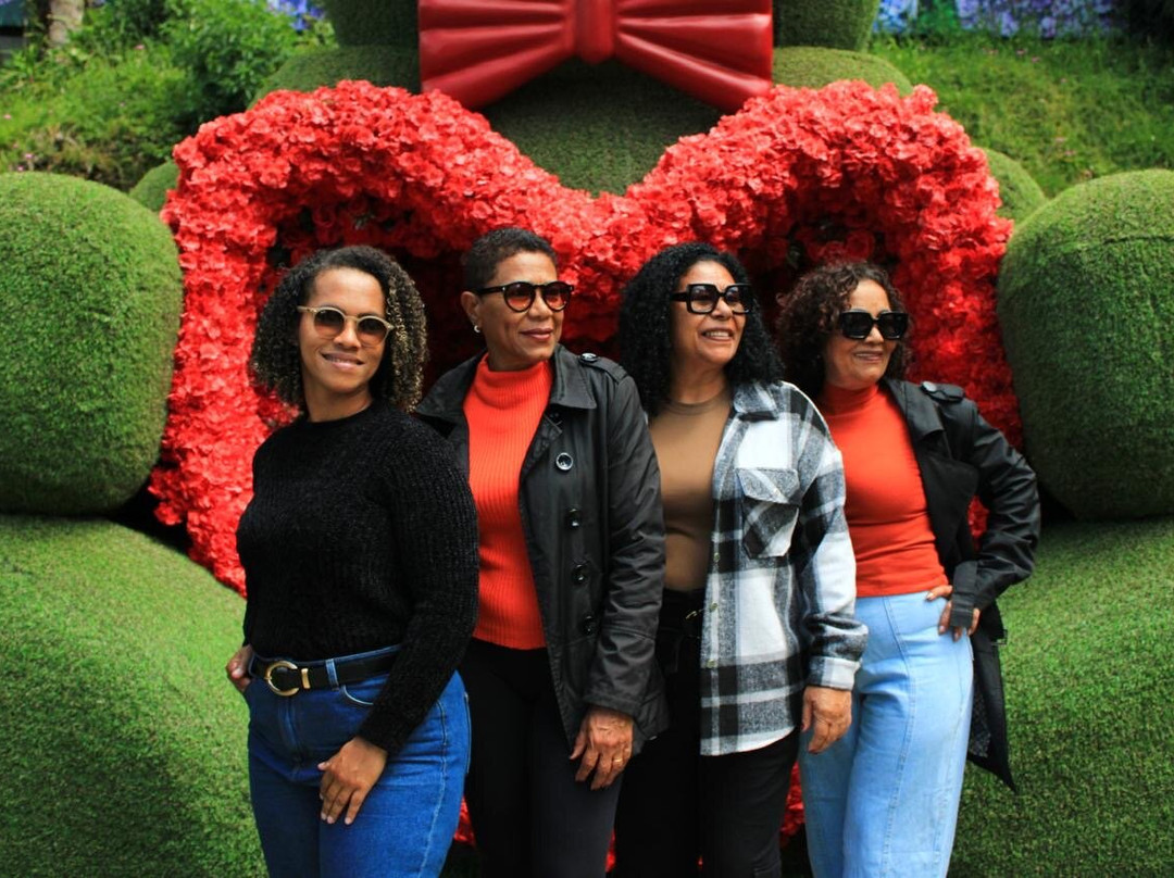 Hortênsias Garden-格拉玛多必去景点