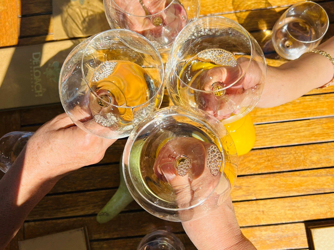 DeLoach Vineyards-圣罗莎必去景点