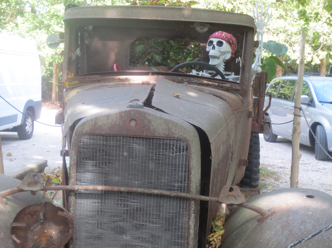 Fantastic Umbrella Factory-Charlestown必去景点