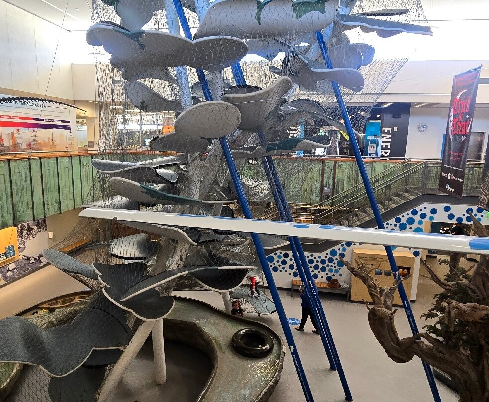 The Discovery-里诺必去景点