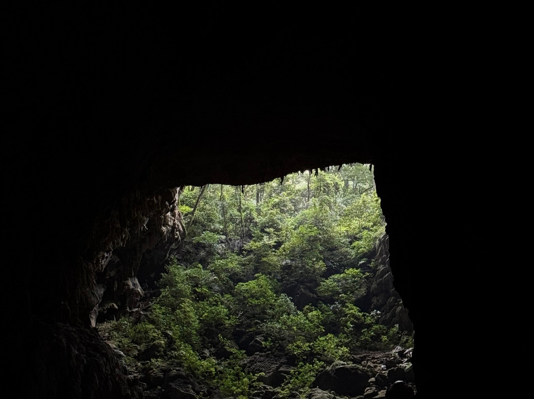 Jungle Boss Tours-峰牙－己榜国家公园必去景点