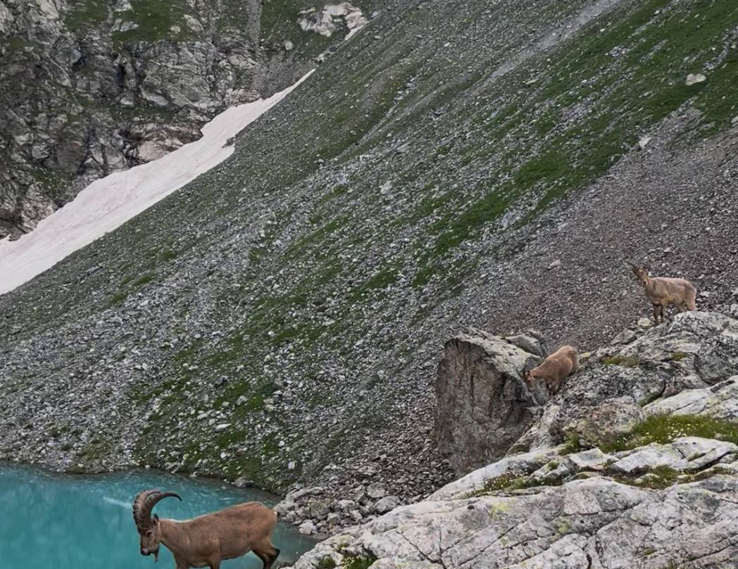 Sofiyskiye Lakes-Arkhyz必去景点