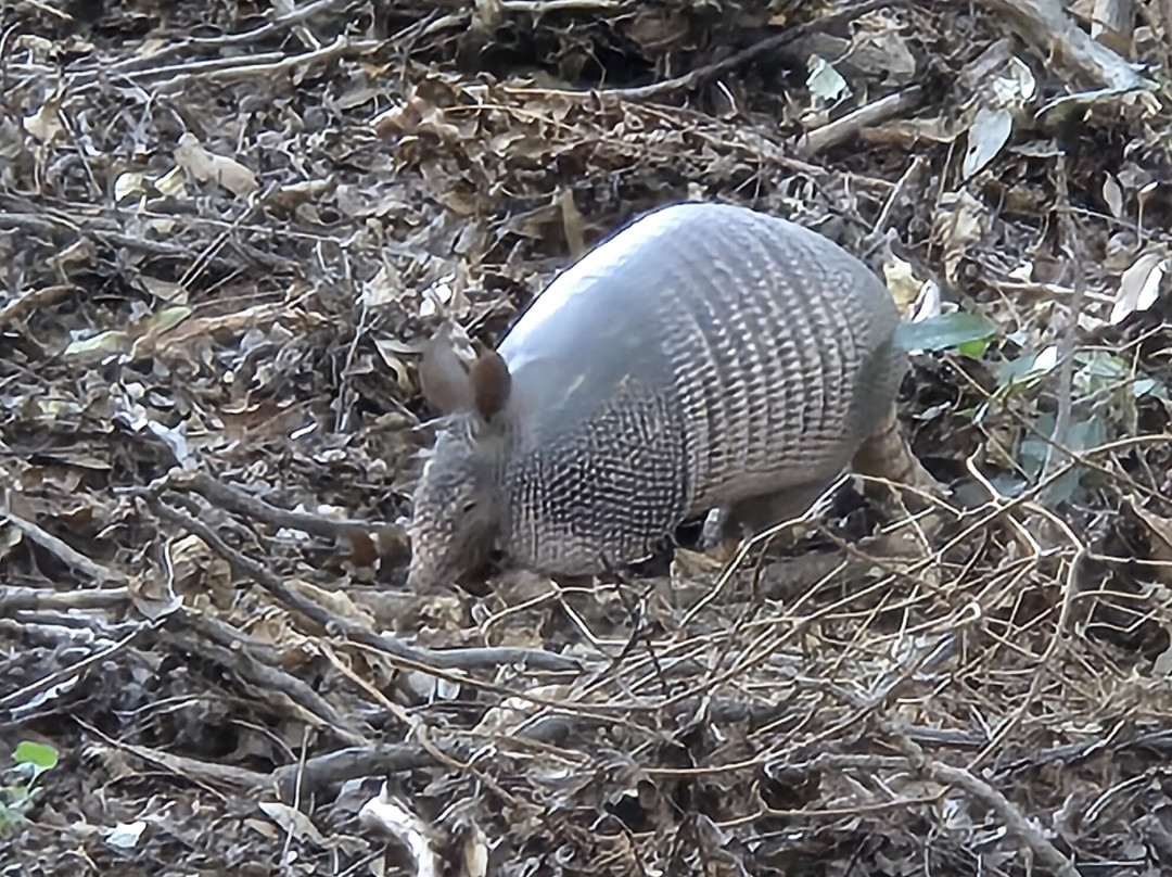 Abilene State Park-Tuscola必去景点
