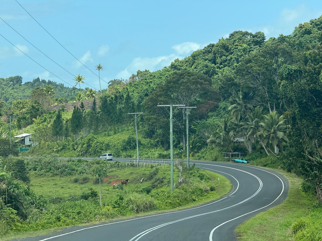 PVV Tours-纳迪市必去景点