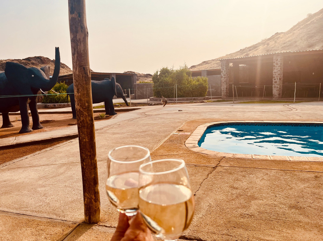 Twyfelfontein Elephant Drives-Palmwag必去景点