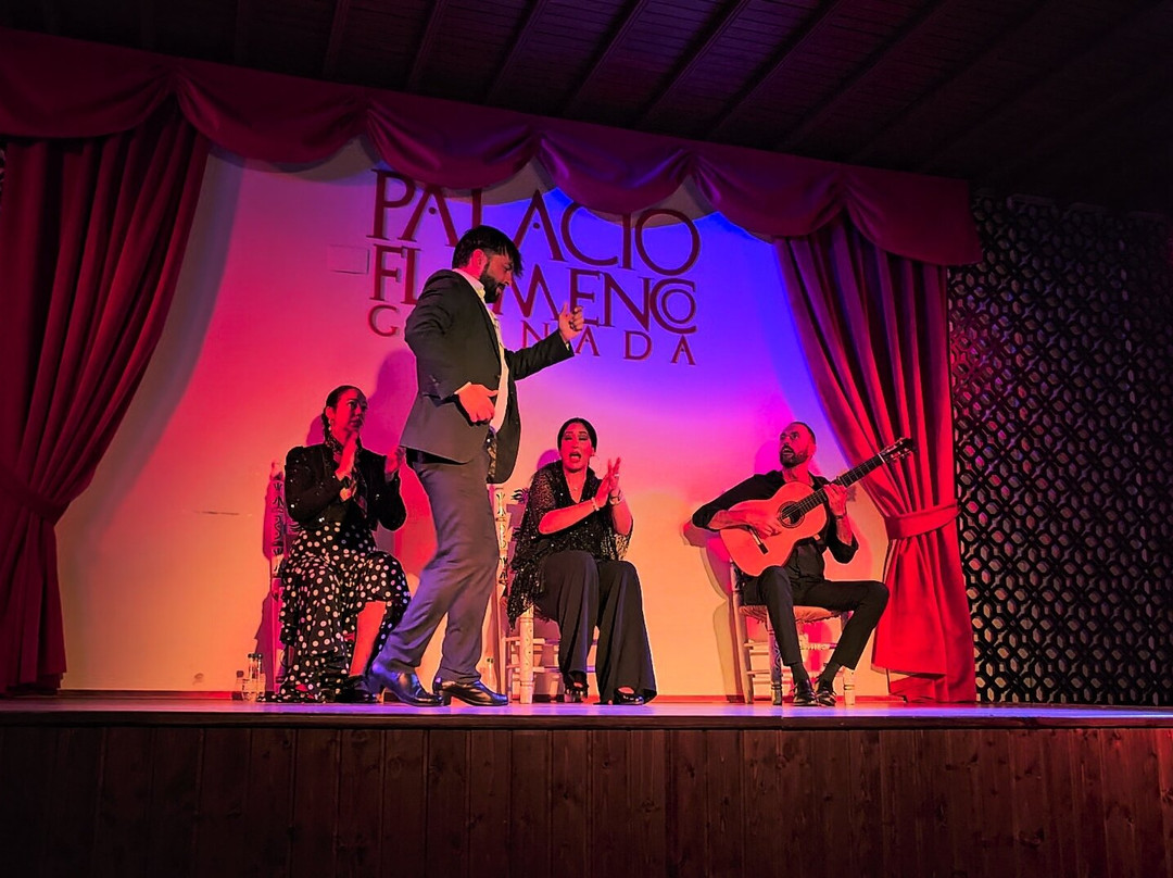 Palacio Flamenco-格拉纳达必去景点