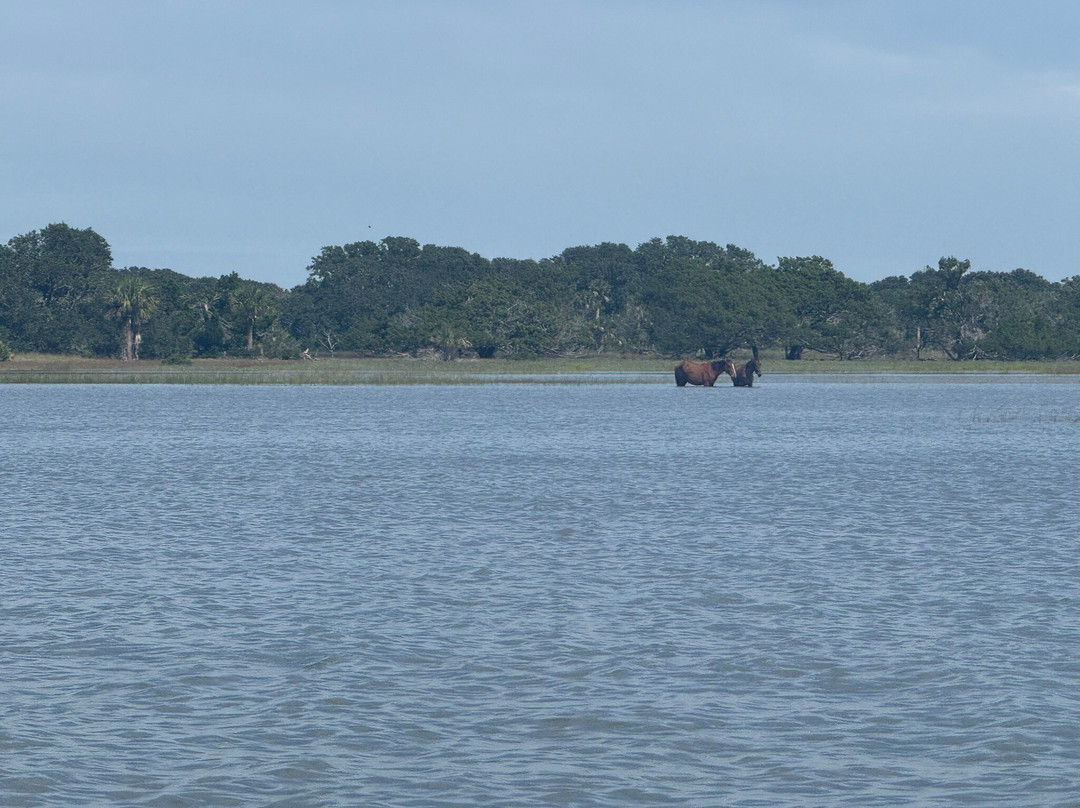 Backwater Cat Adventure-棕榈海岸必去景点