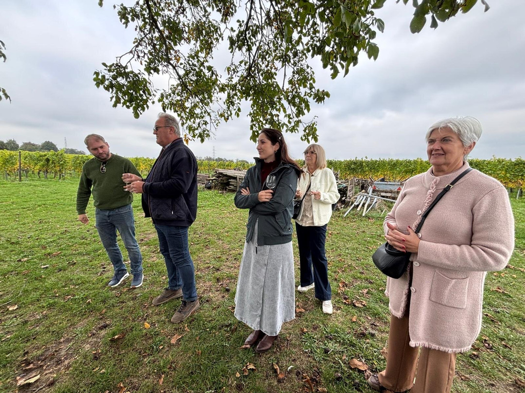 Wijnsafari In De Maasvallei-Kinrooi必去景点