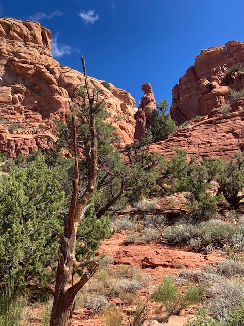 Sedona Spirit Yoga & Vortex Journeys-塞多纳必去景点