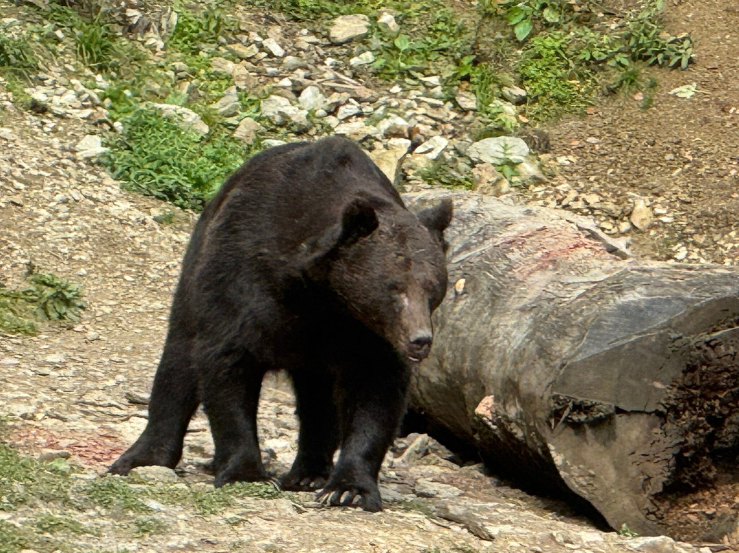 Tours in Romania-布加勒斯特必去景点
