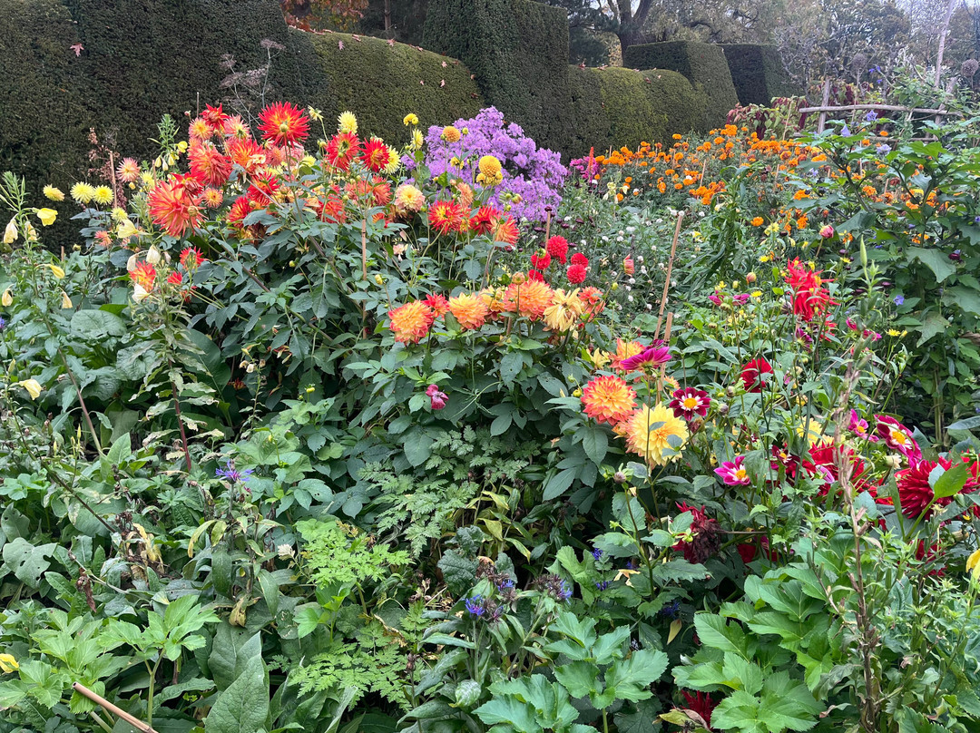 Great Dixter House & Gardens-Northiam必去景点