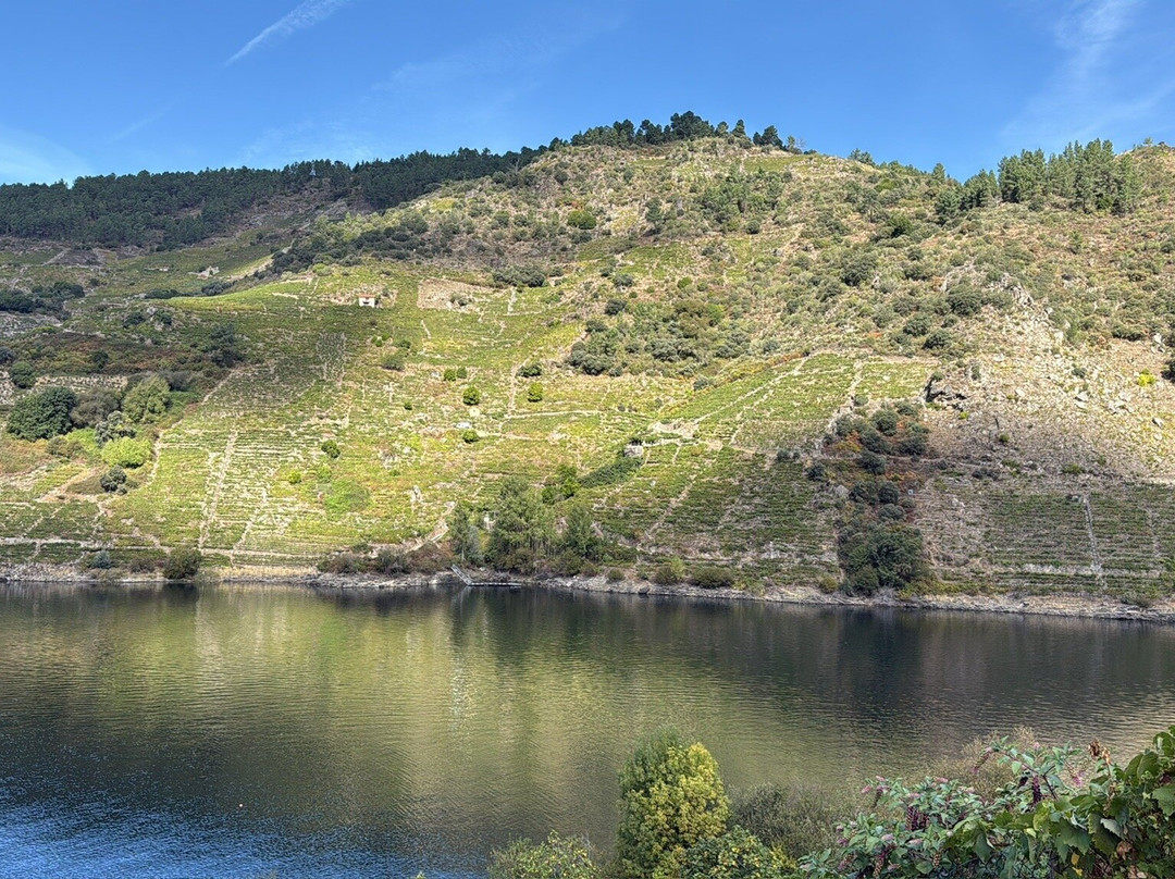 Bodega Ronsel Do Sil-Parada de Sil必去景点