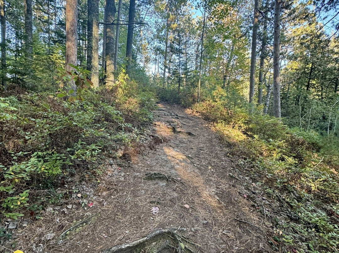 Wilderness State Park-Carp Lake必去景点