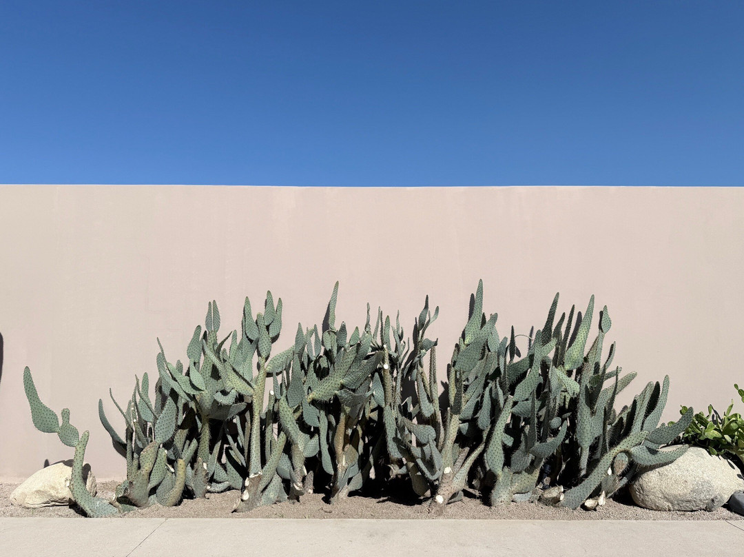 Botánica Spa At Kimpton Mas Olas-佩斯卡德罗必去景点