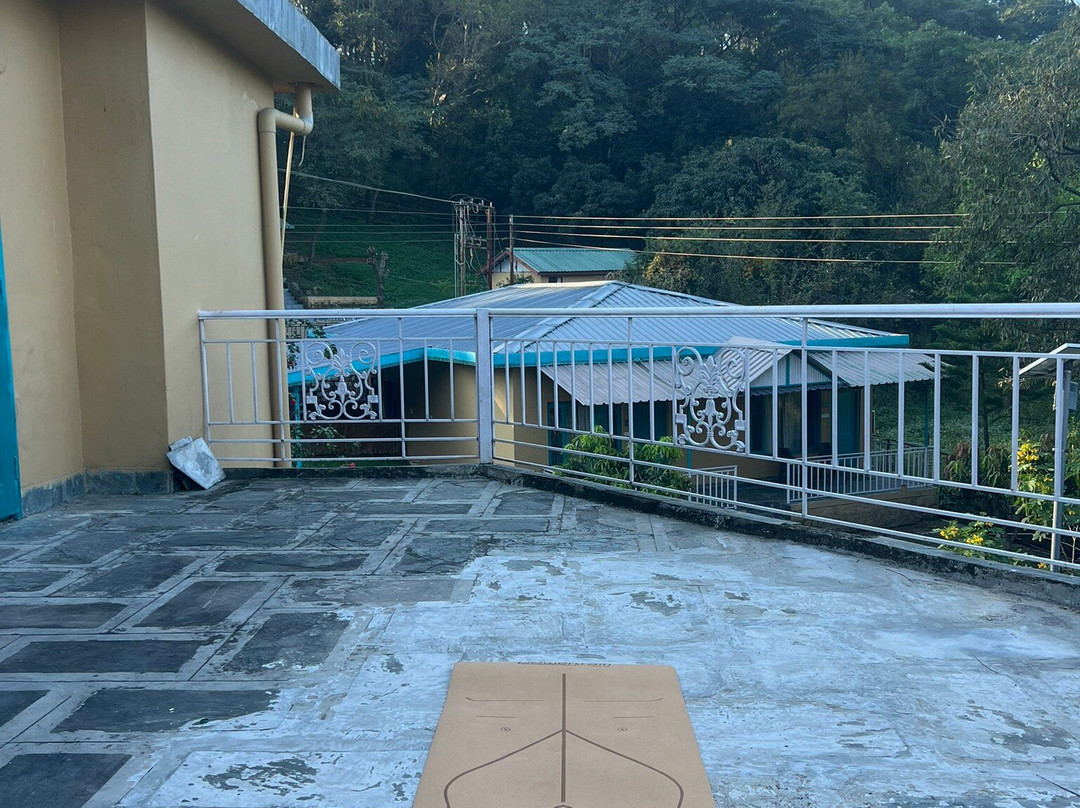 Tree of Life Birdsong Chalets主图