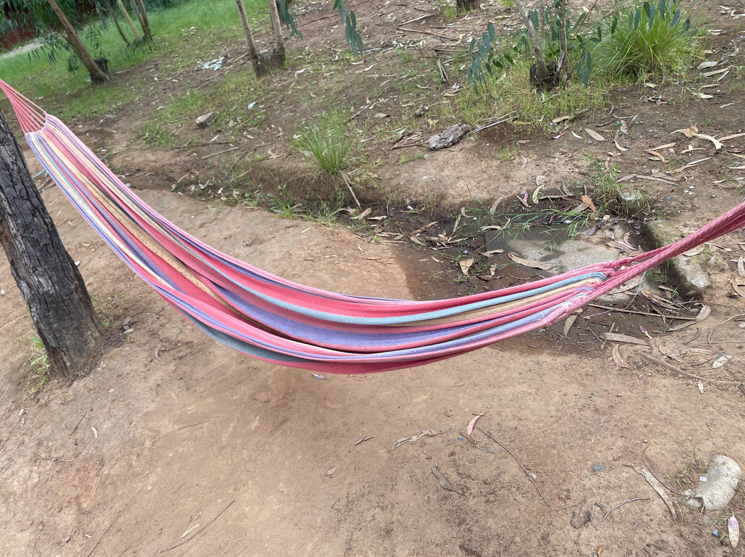 Hotel & Spa Colinas de Cuncumen主图