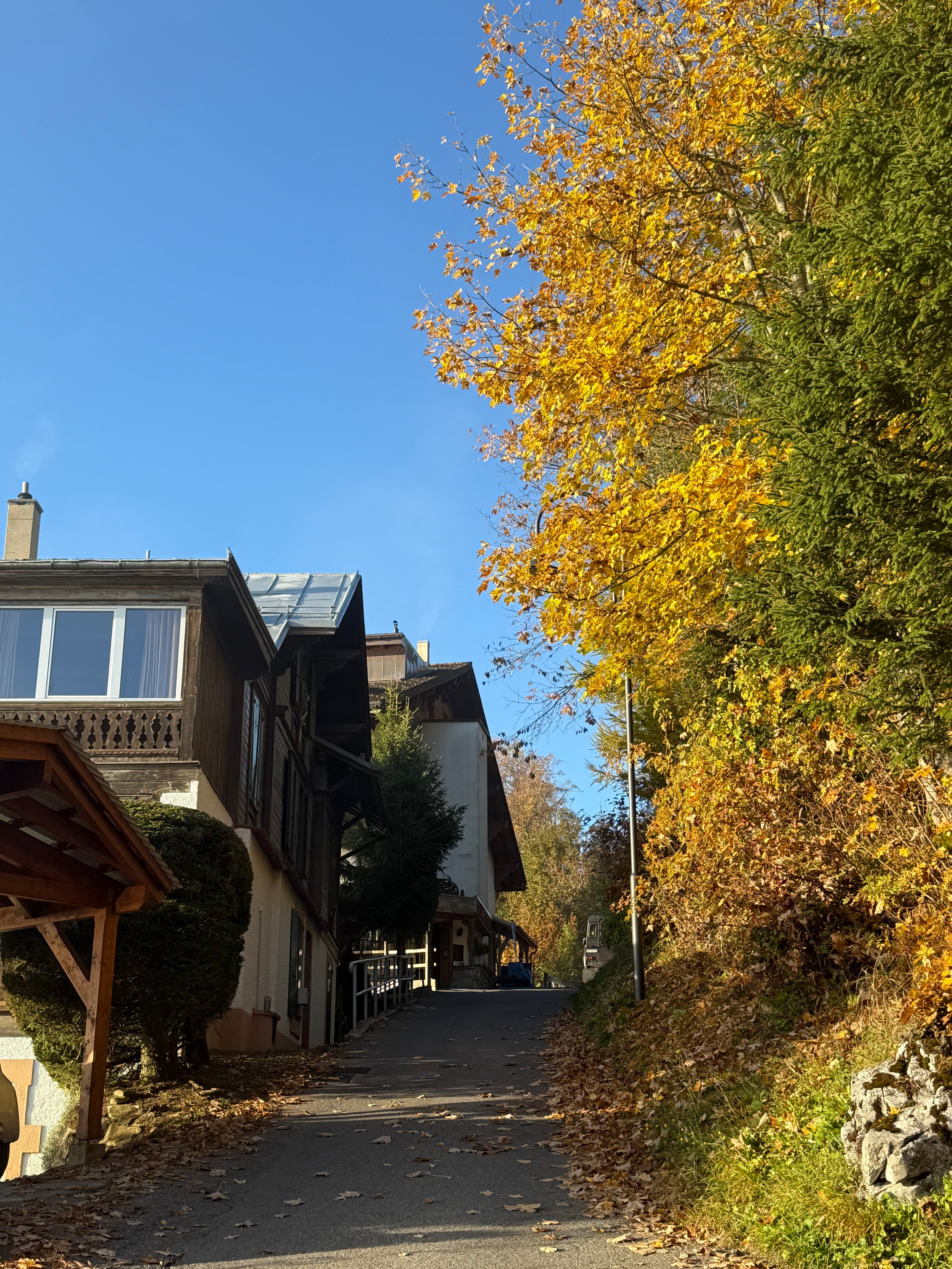 Hotel Le Grand Chalet-官方