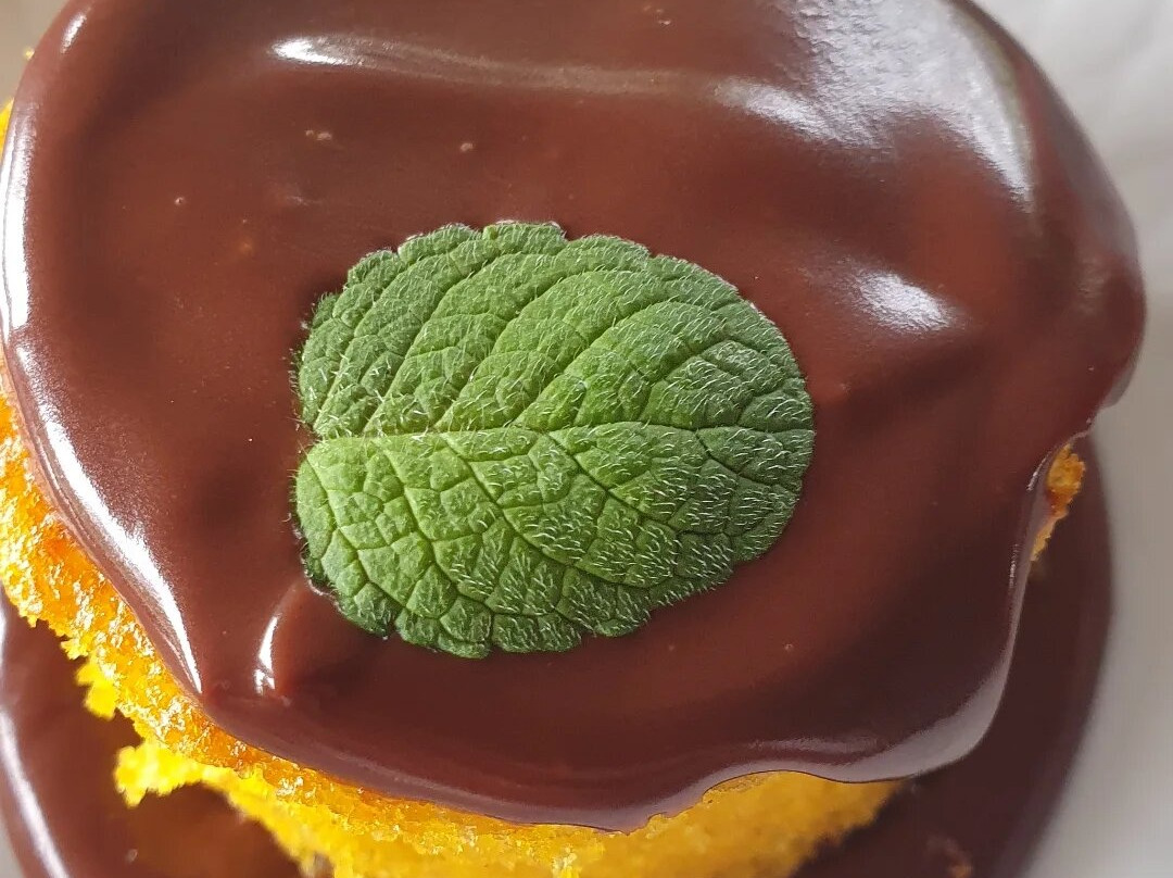 Chales Do Cachoeirao