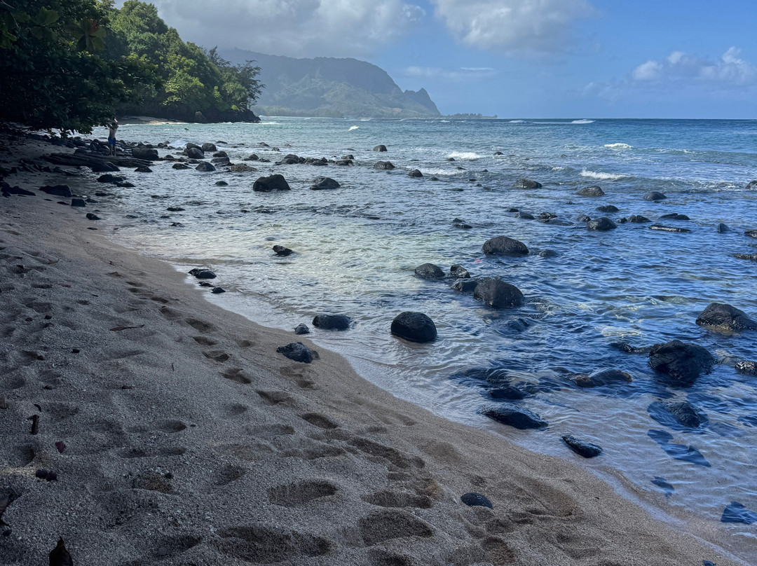 Turtle Cove-普林斯维尔必去景点