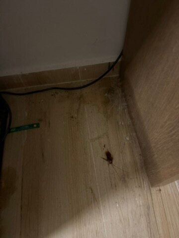 Dimitra Hotel and Apartments主图