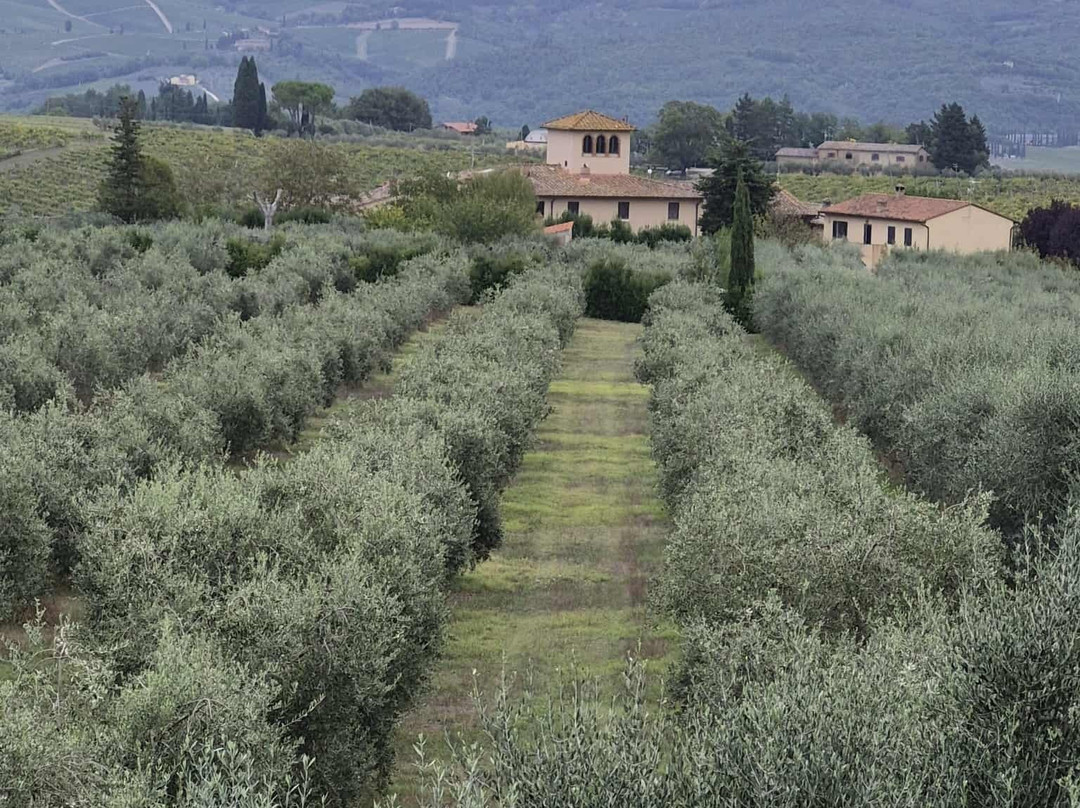 Toscana by Bike-蒙特斯佩托利必去景点