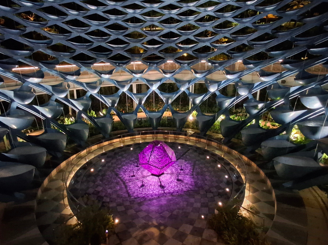 Sentosa SensoryScape-新加坡必去景点