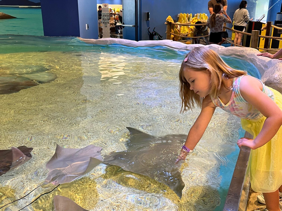 Blue Zoo Aquarium-西得梅因必去景点